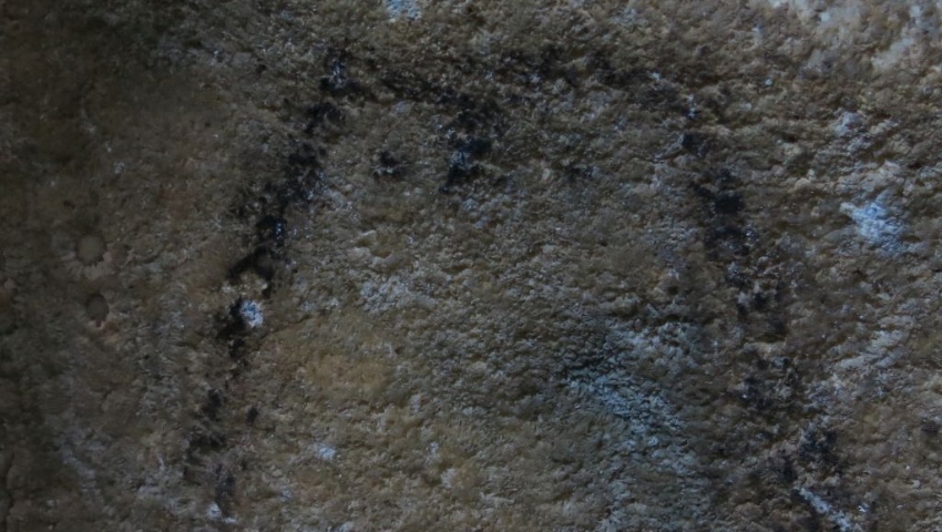 cueva_muricielagos